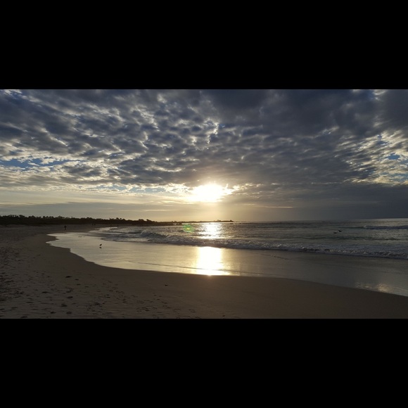 Meet your Posher, Teresa - Picture 1 of 1